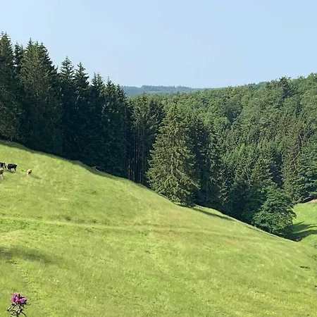 Romantikhuette Neuastenberg Будинок відпочинку Вінтерберг