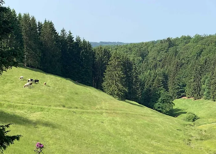 Romantikhuette Neuastenberg 別荘 ヴィンターベルク