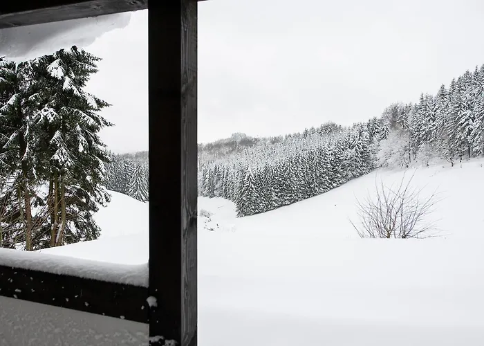 別荘 Romantikhuette Neuastenberg